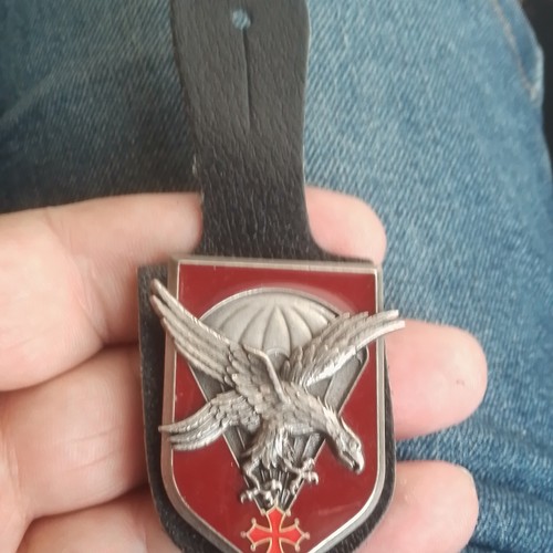 Pucelle insigne ème - insigne,