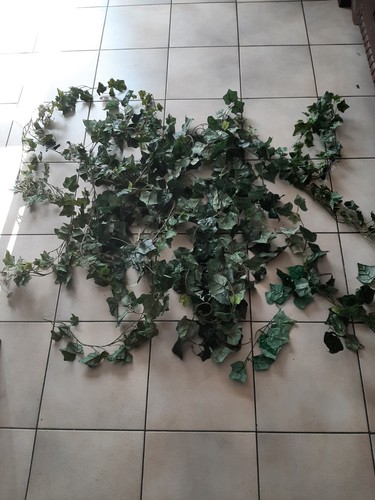 Lot guirlandes lierre - 11,