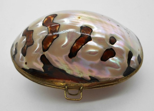 Coquillage magnifique porte - :,