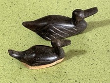 Oiseau  couple de petits