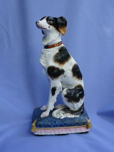 Cavalier king charles spaniel - king,