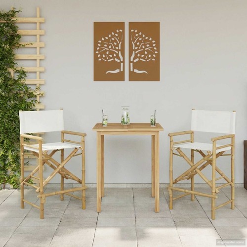 Chaise directeur pliante 2 - pliante,