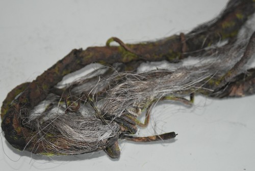Vivarium géant tropical - géant,