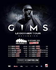 1 BILLET DE CONCERT EN FOSSE  LA DERNIÈRE DE GIMS A LDLC ARENA LYON