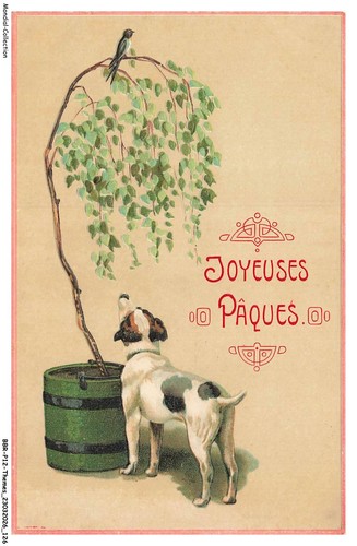 Bbrp12 0672 animaux chien - bbrp12-0672-animaux,