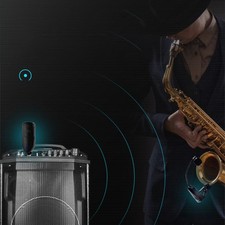 Microphone d'instrument sans