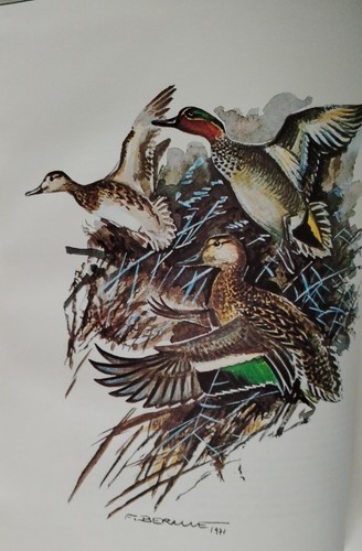 1983 chasse des canards - 1983-, la