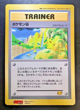 Pokemon Valley Jumbo Card