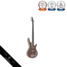 Ibanez GIO Series Electric