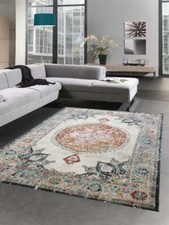Tapis oriental de salon d'ext