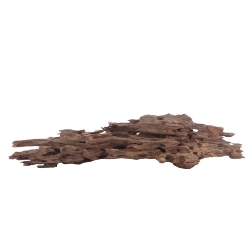 Honey peigne racine - xl,