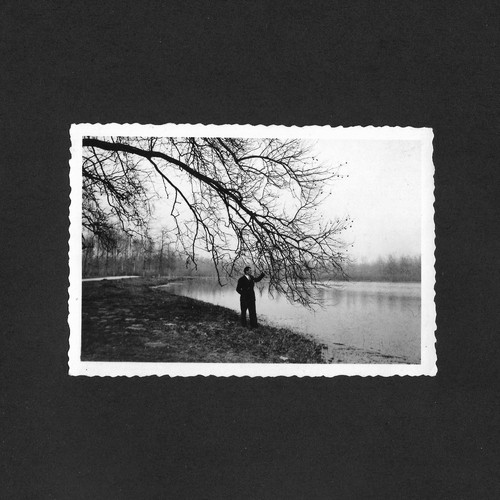 Homme touche branches arbre