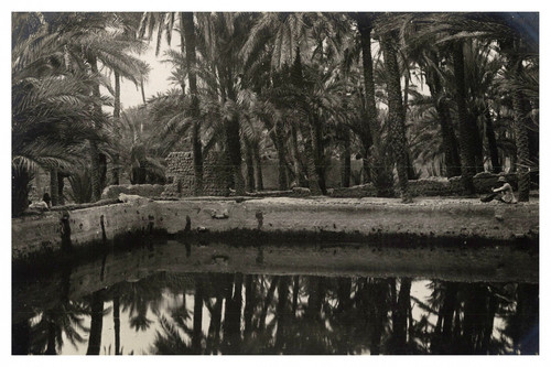 Maroc figuig bassin - figuig,, d'eau