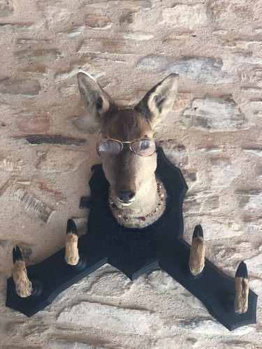Tête chevreuil porte - tête,