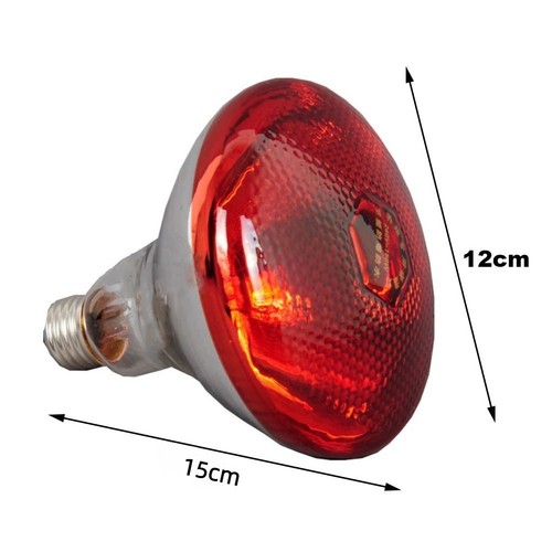 Lampe chauffante pour poules - lampe,