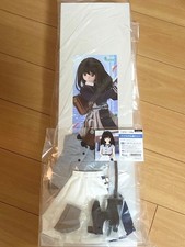 Volks Dollfie Dream Sister