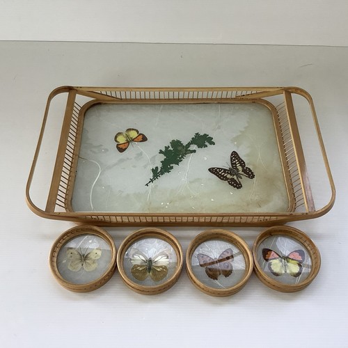 Ensemble plateau sous verre - ensemble,