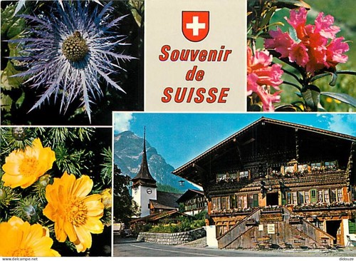 Carte postale suisse autre - suisse,