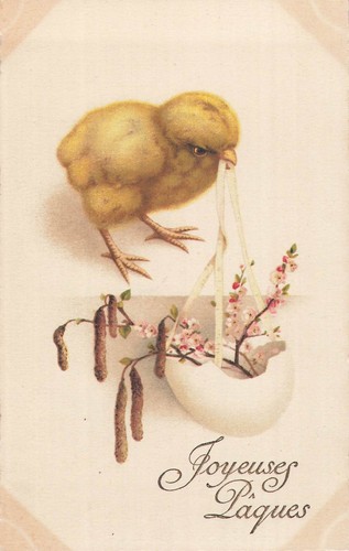 Illustree paques poussin - paques,