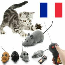 Souris / Rat téléguidé