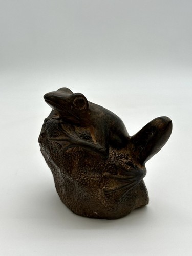Grenouille sur pierre - sur, en