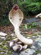 NA0671     FIGURINE  STATUETTE  SERPENT PYTHON COBRA  REPTILE TERRARIUM  SNAKE 