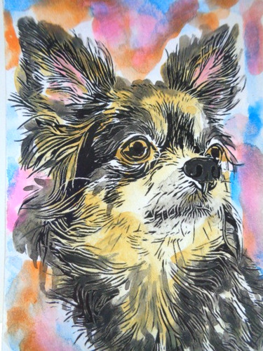 Aceo super cute chihuahua - ,