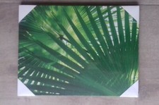 Cadre toile feuilles Ikea