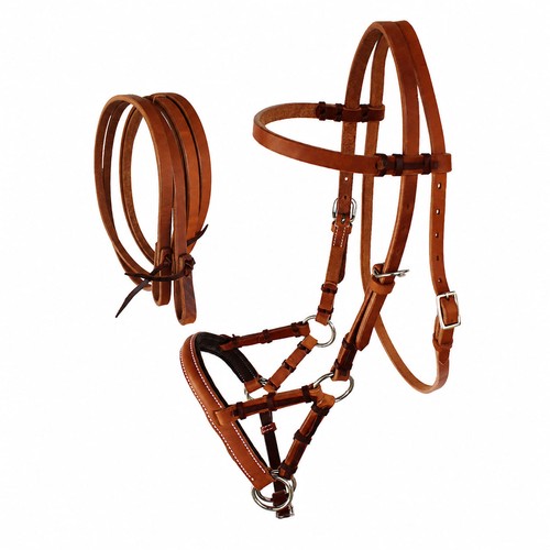 Horse western bitless - horse,