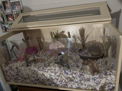 Large wooden hamster cage - hamster,