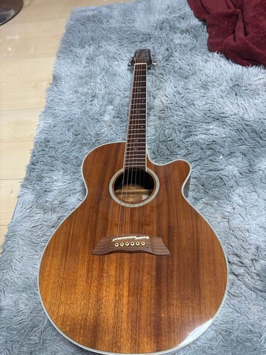 Guitare électrique acoustique