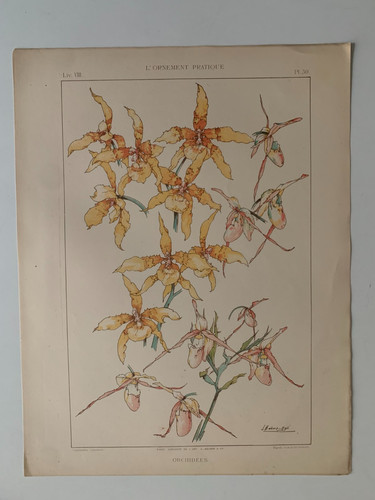 Habert dys planche - j.habert-dys,