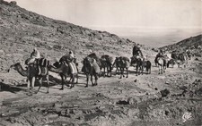 Algeria, stage and walking caravan type.  121656