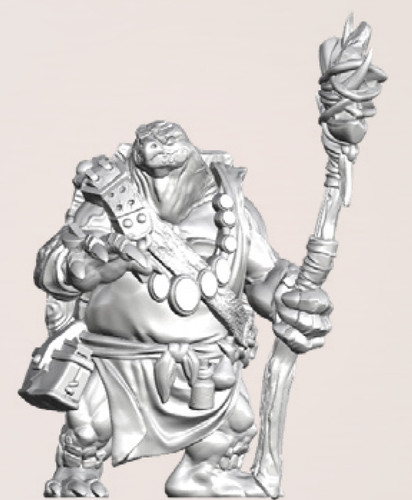 Turtle wizard warrior - turtle, wizard+warrior