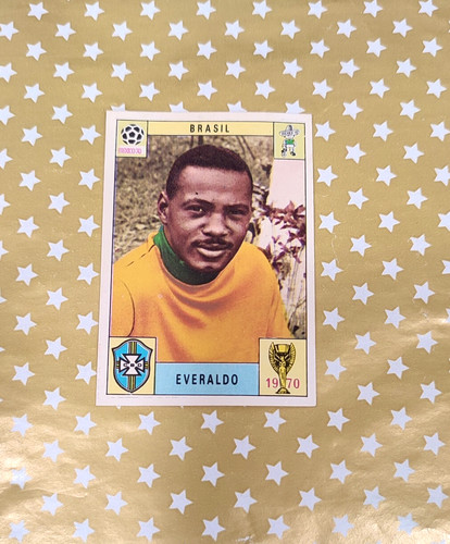 Album panini world cup - album,