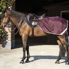 Horseware Amigo Ripstop