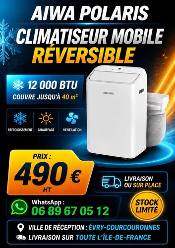 Climatiseur mobile blanc - , 12000