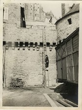 OLD PHOTO - VINTAGE SNAPSHOT -