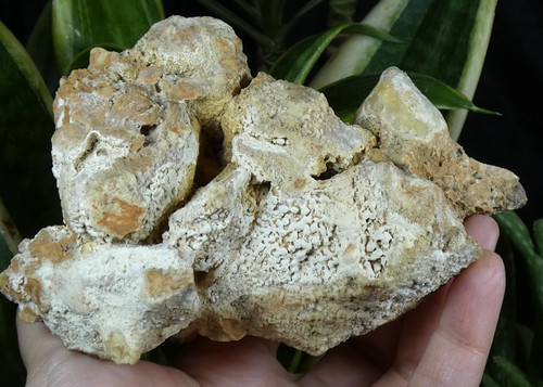 Silex chert calcaire - chert, ou