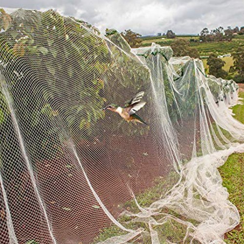 Filet protection jardin - de,