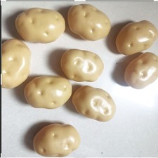 Modèle de pomme de terre