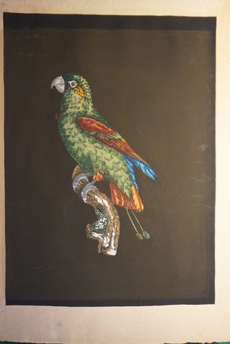 Gravure couleur gouache - couleur,