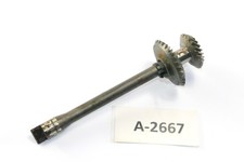 Ducati 250 Diana Mark 3 Bj