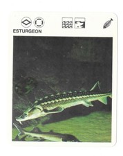 Fiche - Le livre de Paris -