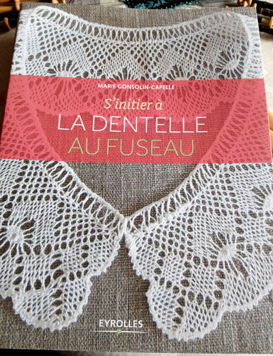 Livre dentelle aux - livre,
