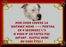 PLAQUE DE GARDE AMERICAN STAFF