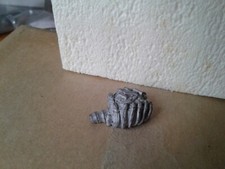 Rib Cage With Treasure -