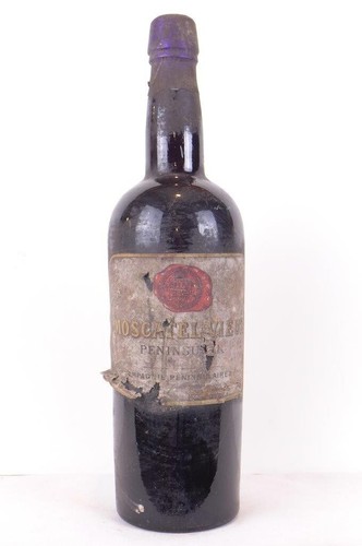 Moscatel vieux - moscatel,