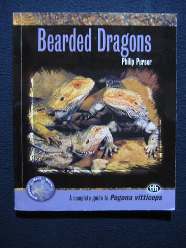 Bearded dragons complete - bearded,