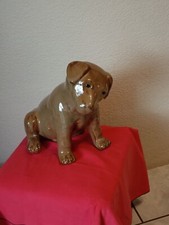 Barbotine Chiot Chien Terre